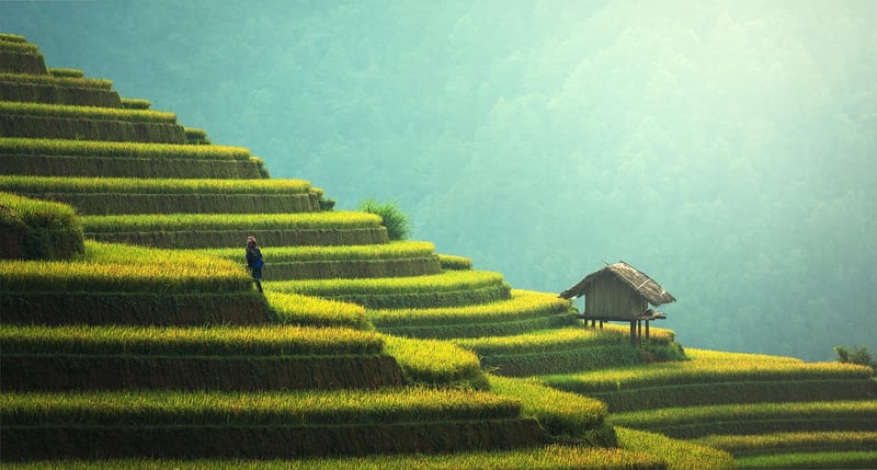 Sustainable Outdoor Projects